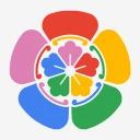 Immich app icon