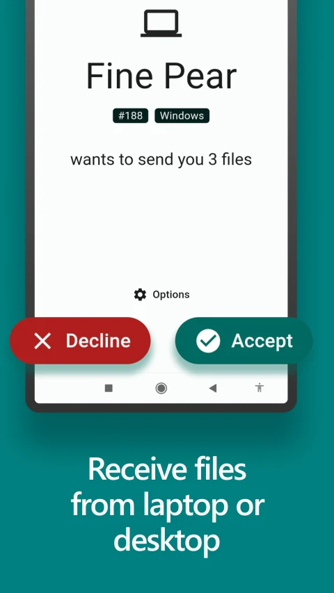 LocalSend: Accept or decline incoming files