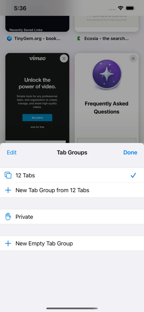Orion iPhone tab-group chooser with regular, private and new-group options.
