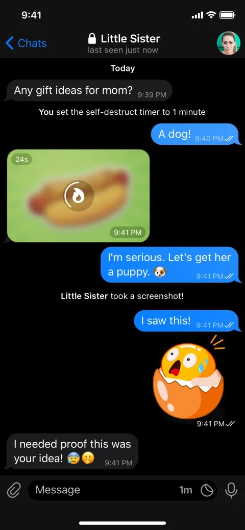 Telegram: Publisher example Secret Chat with a dark theme