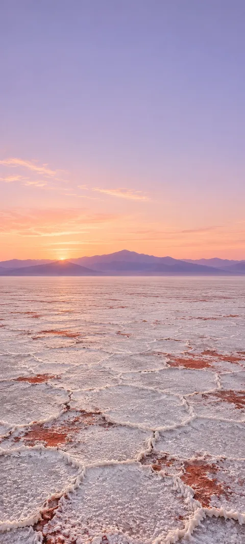 Polygonal white salt crust and red mineral patches beneath distant violet mountains.