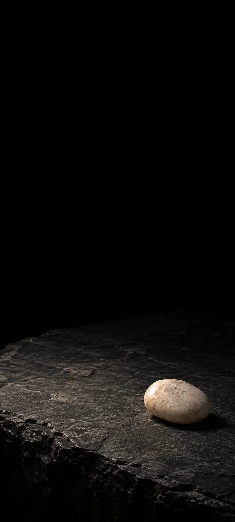 Ivory pebble resting on a rough dark slate ledge.