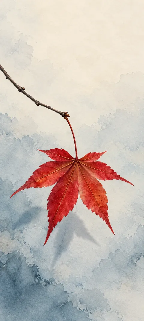 A pointed crimson maple leaf with fine veins attached to a small twig on a pale blue and cream background.
