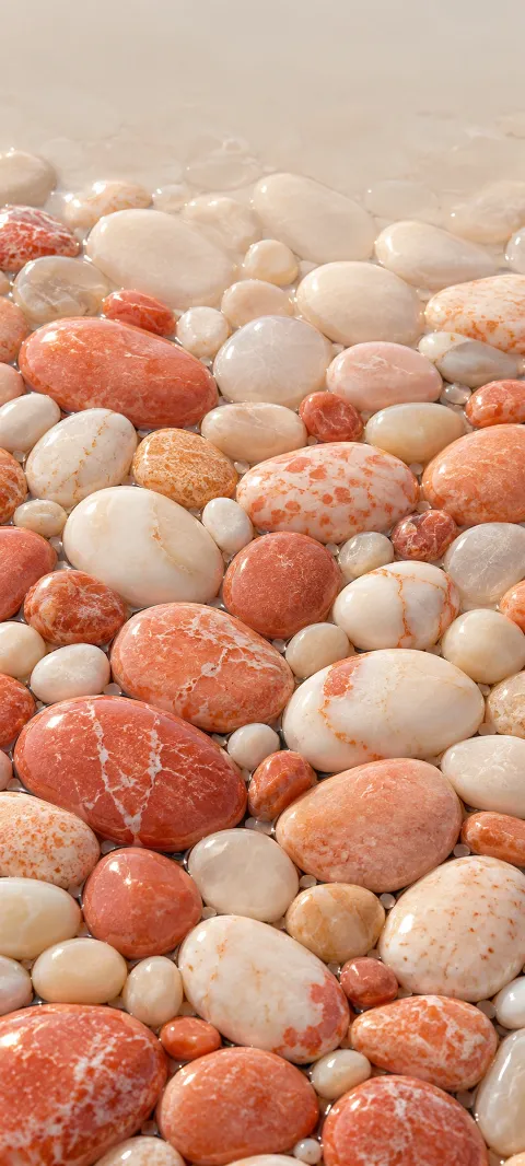 Coral and cream pebbles form a rounded mosaic.