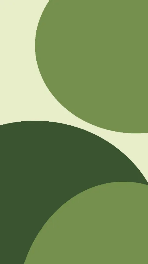 Olive curves