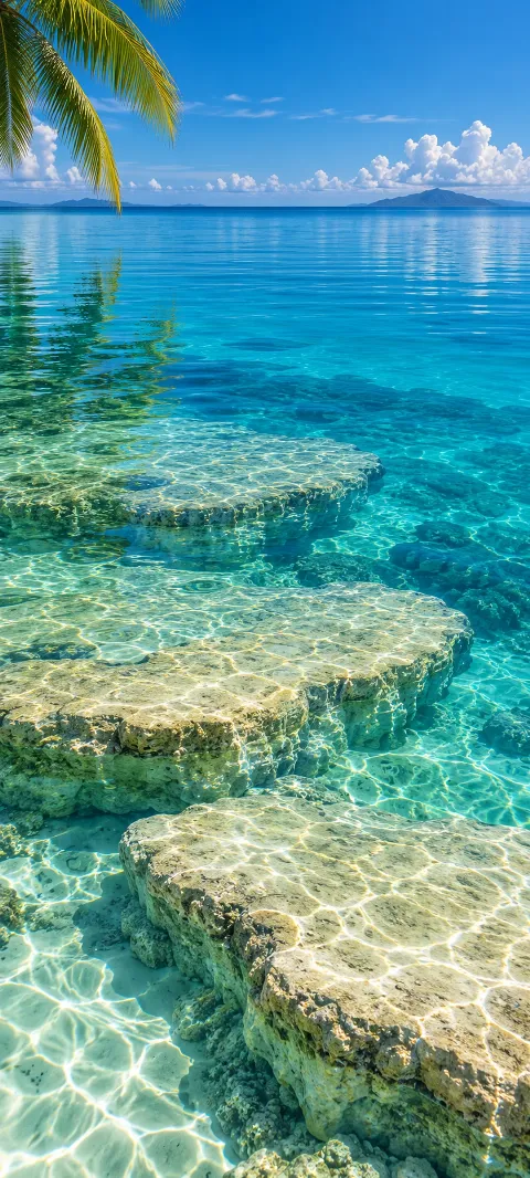Turquoise lagoon with submerged limestone ledges, sunlit caustics and palm fronds.