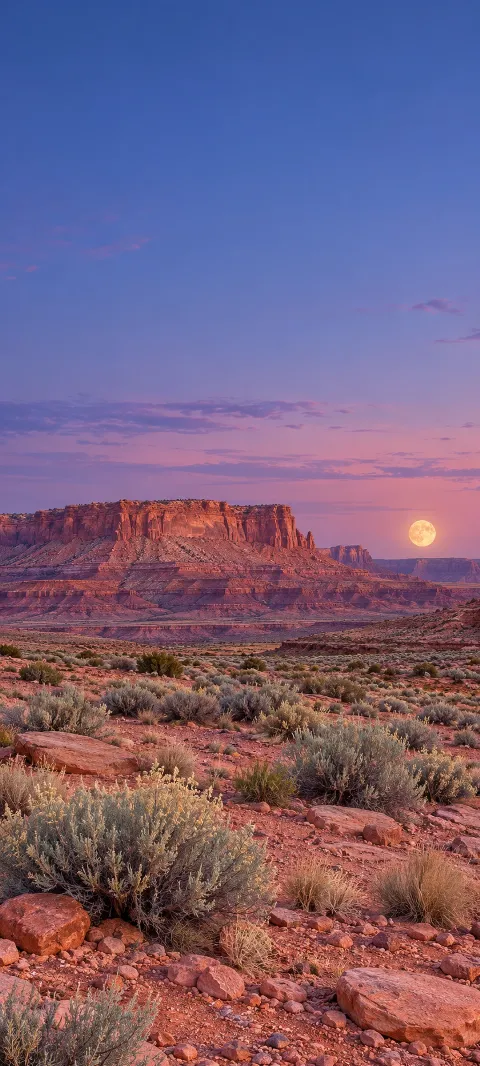 Full moon rising beside a terracotta mesa above sage scrub and pink gravel.