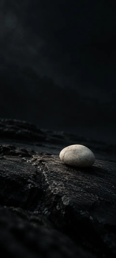 A pale pebble casts a small shadow on dark stone.