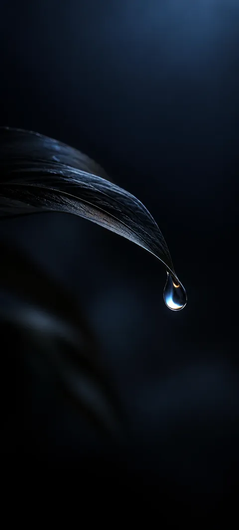 A dark droplet catches a tiny cool reflection.