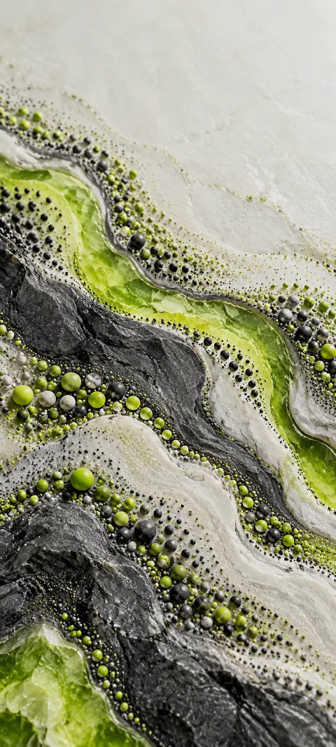 Lime and graphite dots create a mineral texture.