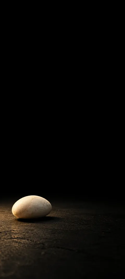 An oval ivory pebble on a dark textured surface with warm light and a short shadow.