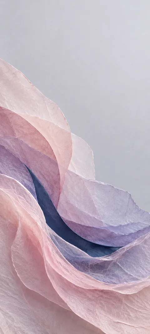 Translucent pink and lavender tissue curves around a navy band.