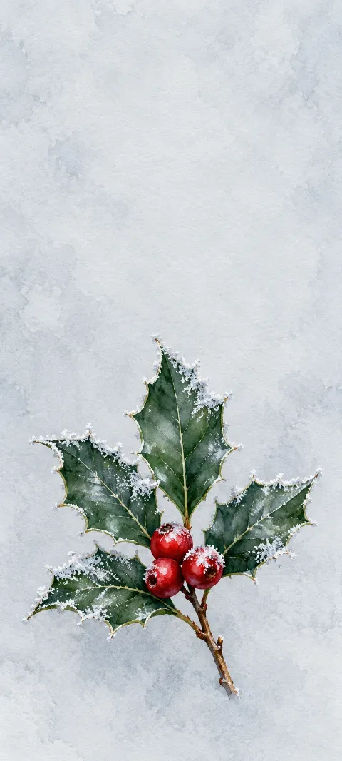 Frosted green holly leaves and three red berries on a pale blue gray background.