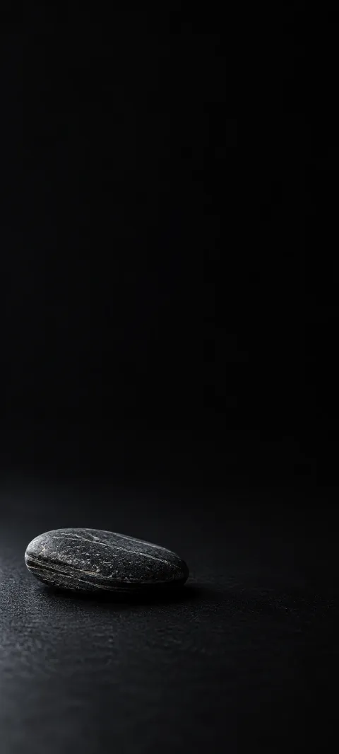 Single flat veined slate pebble on a dark textured surface.