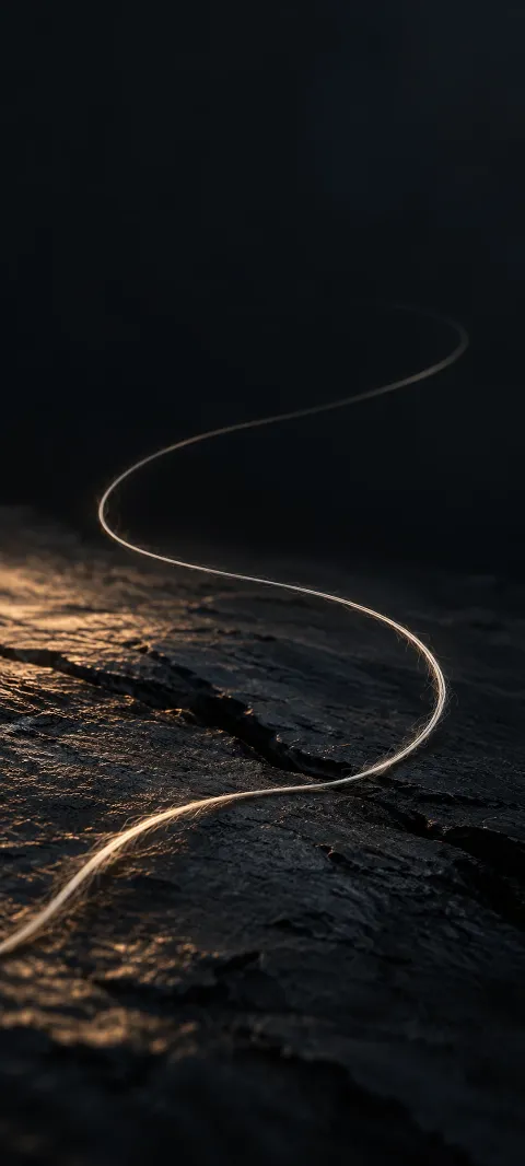A pale thread curves across a dark textured surface.