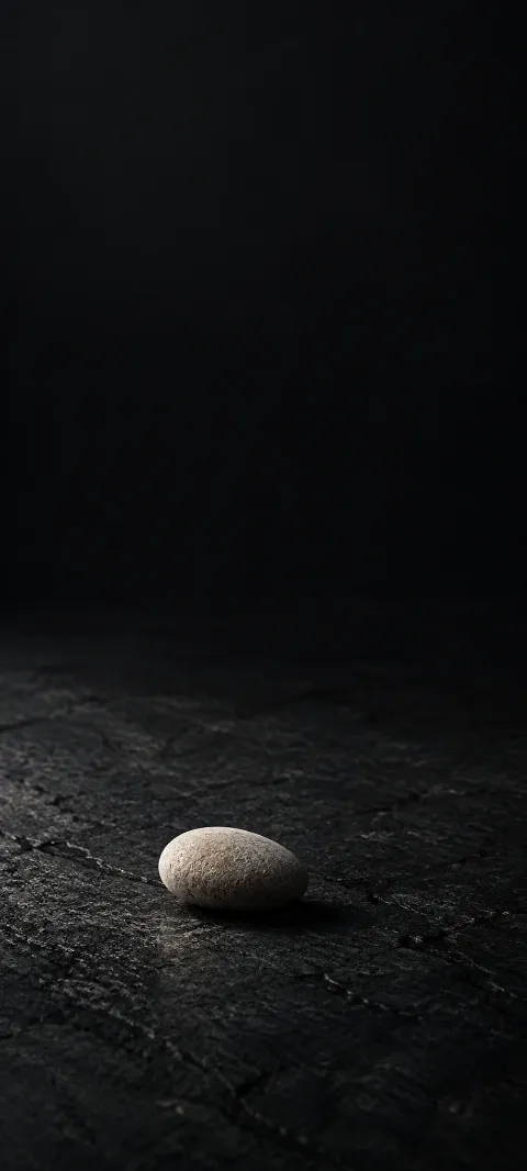 A pale pebble casts a small shadow on dark stone.