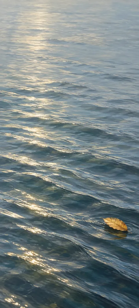 Single golden leaf floating on blue-gray lake water with fine silver ripples.
