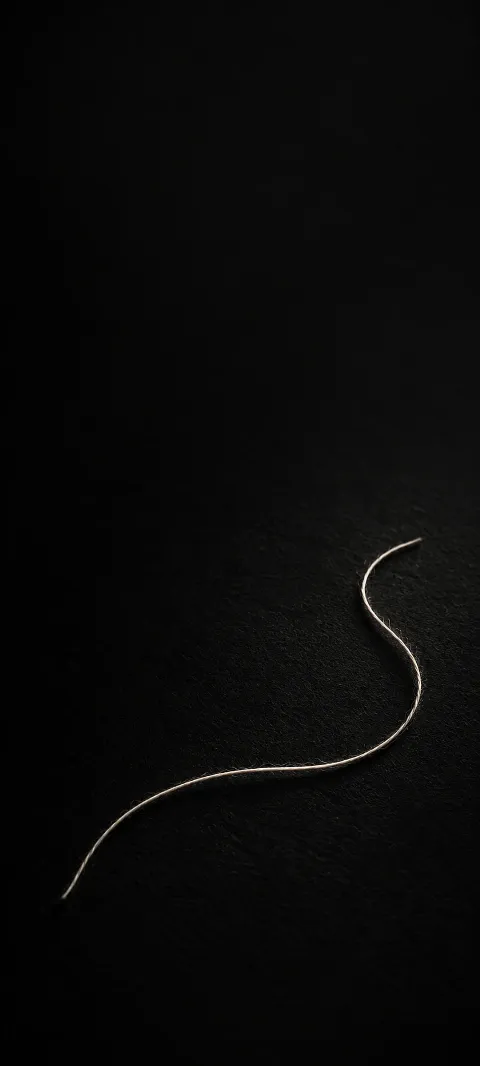 Single thin ivory thread forming an open S curve on a dark surface.