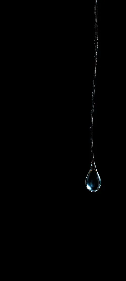 Single clear hanging droplet on a thin filament against black.