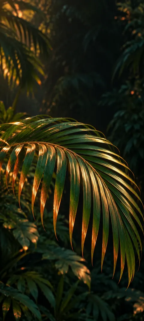 A curved green palm frond with copper-lit leaflets against dark foliage.