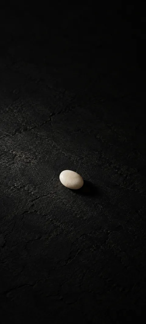 A pale pebble casts a small shadow on dark stone.