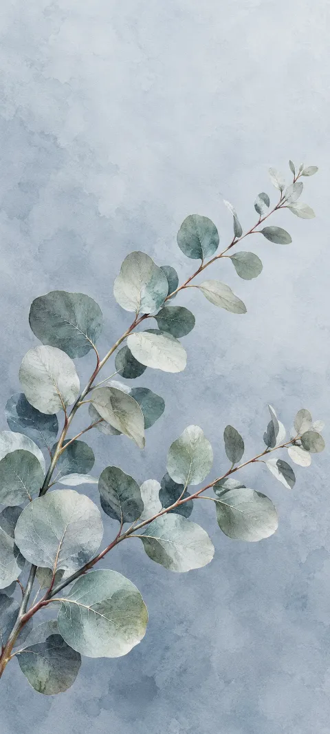 Two arching eucalyptus branches with rounded silver-green leaves on a pale blue-gray watercolor background.