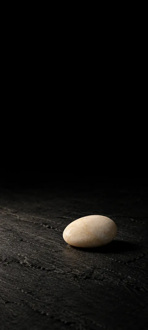 A softly lit ivory pebble on dark slate beneath a black field.